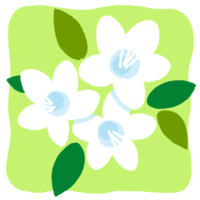 白いツツジの花の無料素材 イラスト沖縄 おきなわ