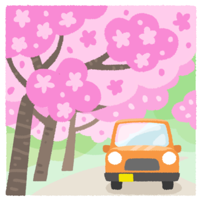 桜並木B（お花見ドライブ）