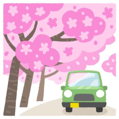 桜並木C（お花見ドライブ）