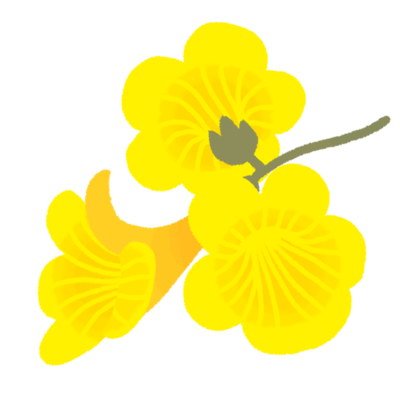 イッペーの花（黄色）
