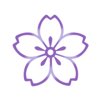 桜B（紫）