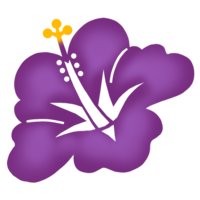 ハイビスカスJ（紫）