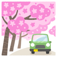 桜並木C（お花見ドライブ）