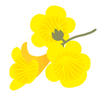 イッペーの花（黄色）